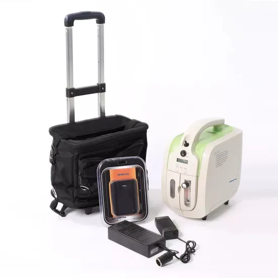 Portable 5L Oxygen Concentrator with Pulse Flow Jay-1000p