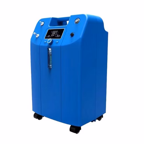 Car Carried Inhaling Physical Therapy Equipment 1-3L Portable Oxygen Concentrator Lasting Operation for 3h Without Charge The Built-in Battery