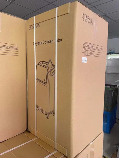 10L Oxygen Concentrator with Nebulizer and Remote Control 95% Purity 220V/110V 50Hz/60Hz